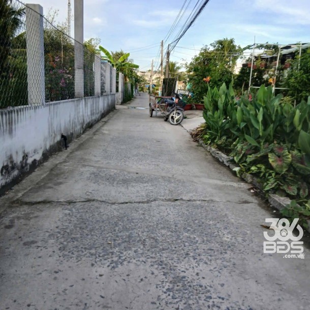 Bán nhà cấp 4 mới xây ở xã Phước Lợi , Bến Lức tdt 224m2 ( có 100m2 thổ) 2pn, 1wc giá 2,5 tỷ-2