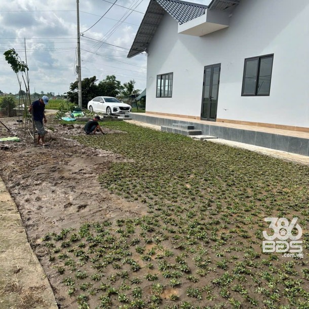 Bán nhà vườn xã Lạc Tấn , huyện Tân Trụ , Long An tdt 912m2 ( có 276m2 thổ) 3pn , 2wc giá 3 tỷ-8