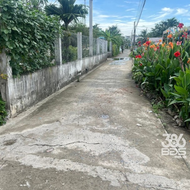 Bán nhà cấp 4 mới xây ở xã Phước Lợi , Bến Lức tdt 224m2 ( có 100m2 thổ) 2pn, 1wc giá 2,5 tỷ-6