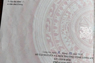 134m2 đất thổ cư mặt tiền đường Phan Văn Mảng, thị trấn Bến Lức giá 3,5 tỷ