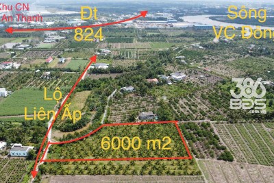 6000m2 đất lúa xã Lương Hòa, Bến Lức giá 10,8 tỷ