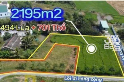 2400m2 đất 3 măt tiền đường ( có 700m2 thổ) xã Tân Lân, Cần Đước Giá 4 tỷ