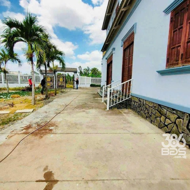 Nhà vườn thị trấn Cần Giuộc tổng dt 680m2 giá 7,5 tỷ-4