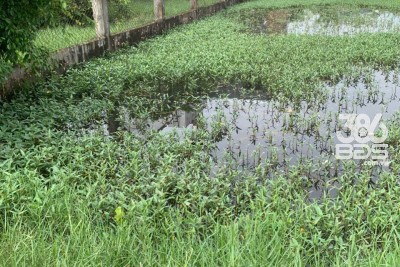 143m2 đất thổ hẻm xã Mỹ Hạnh Nam, Đức Hòa giá 1,5 tỷ