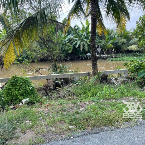 535m2 đất thổ vườn ấp 9, xã Lương Hòa,Bến Lức ,Long An giá 3,5 tỷ-6