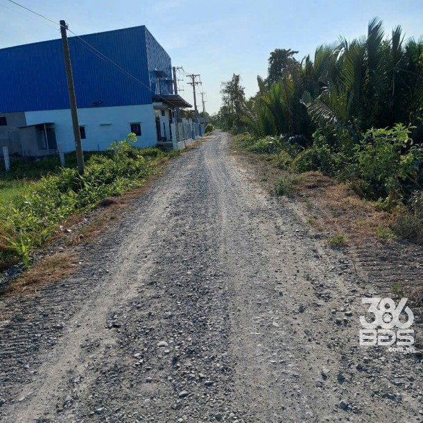 4800m2 đất xã An Thạnh, Bến Lức giá 9 tỷ-4