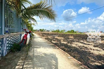 243m2 thổ cư 2 mặt tiền xã Long Hòa, Huyện Cần Đước giá 1,15 tỷ