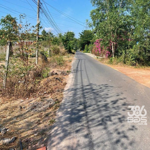 1900m2 đất mặt tiền đường Bàu Lách, xã Phạm Văn Cội giá 5,8 tỷ-1