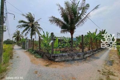 Nhà vườn xã Nhựt Chánh, Bến Lức , Long An tổng dt 1300m2 2pn 2wc giá 5,5 tỷ