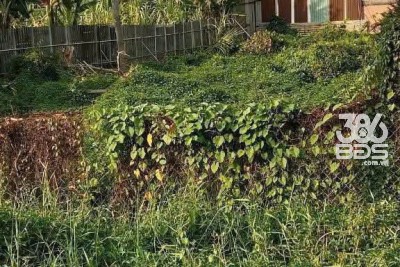 810m2 đất mặt tiền lô B Thích Thiện Hòa , xã Lê Minh Xuân , Bình Chánh giá 6,5 tỷ