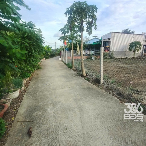 1899m2 đất thổ (918m2) + lúa , đường đan xã Thuận Thành, Cần Giuộc, Long An giá 7,5 tỷ-1
