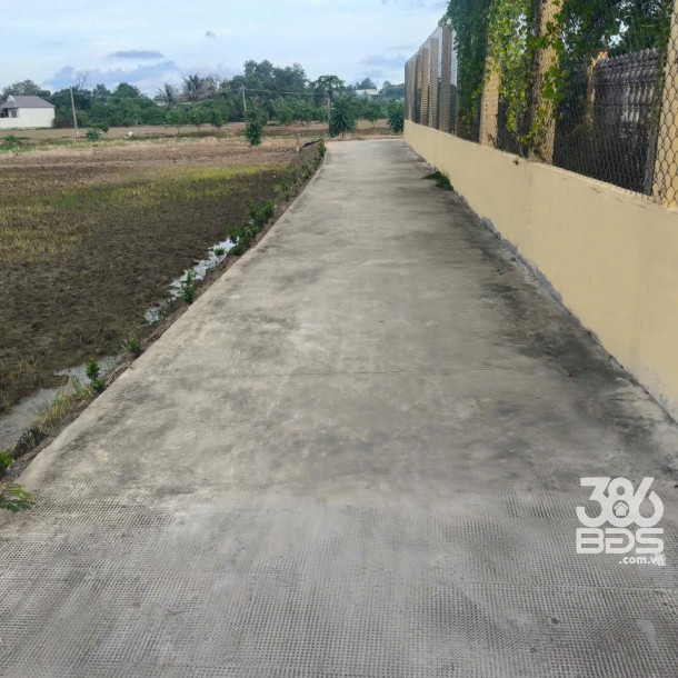 1899m2 đất thổ (918m2) + lúa , đường đan xã Thuận Thành, Cần Giuộc, Long An giá 7,5 tỷ-2