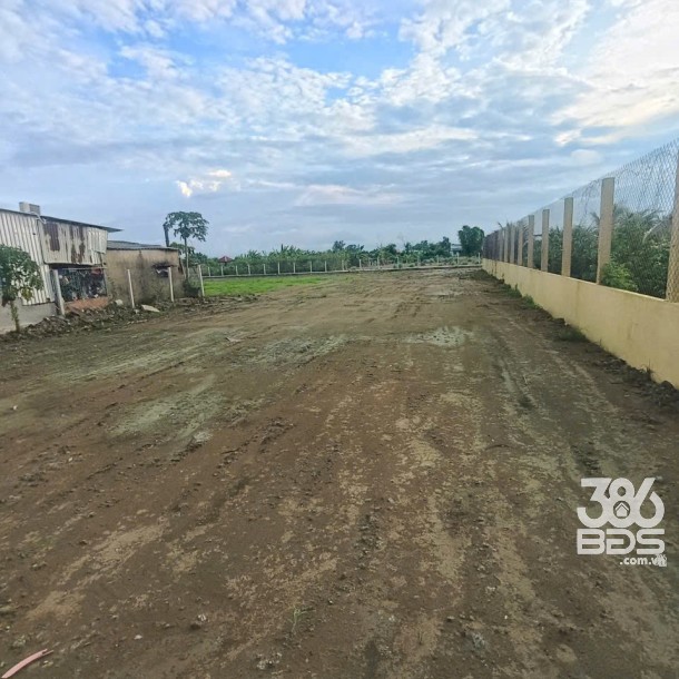 1899m2 đất thổ (918m2) + lúa , đường đan xã Thuận Thành, Cần Giuộc, Long An giá 7,5 tỷ-3