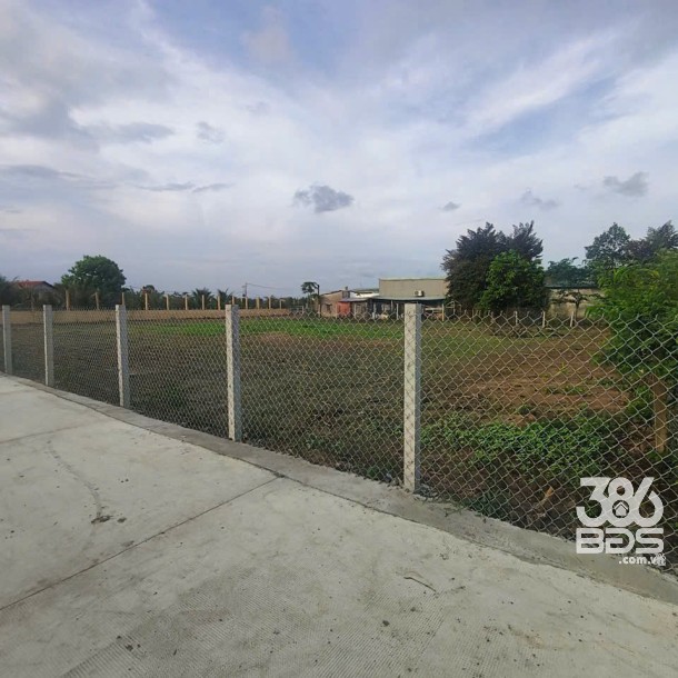 1899m2 đất thổ (918m2) + lúa , đường đan xã Thuận Thành, Cần Giuộc, Long An giá 7,5 tỷ-6