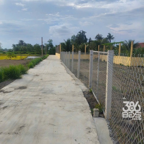 1899m2 đất thổ (918m2) + lúa , đường đan xã Thuận Thành, Cần Giuộc, Long An giá 7,5 tỷ-8