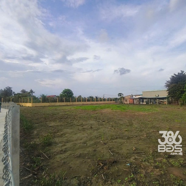 1899m2 đất thổ (918m2) + lúa , đường đan xã Thuận Thành, Cần Giuộc, Long An giá 7,5 tỷ-9