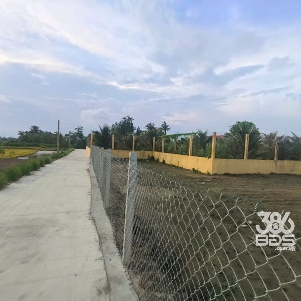 1899m2 đất thổ (918m2) + lúa , đường đan xã Thuận Thành, Cần Giuộc, Long An giá 7,5 tỷ-10