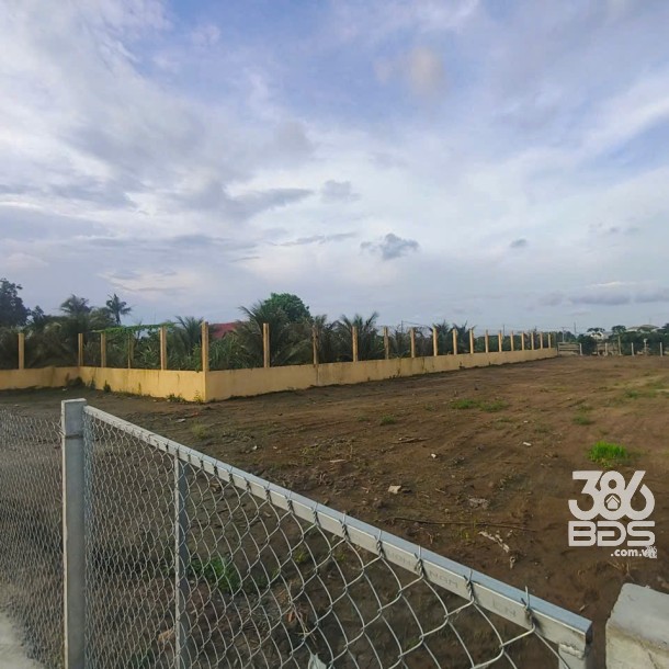 1899m2 đất thổ (918m2) + lúa , đường đan xã Thuận Thành, Cần Giuộc, Long An giá 7,5 tỷ-11