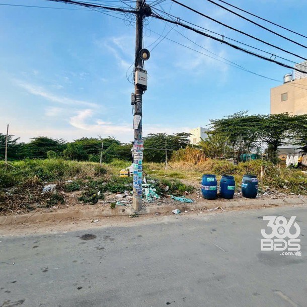 1380m2 đất thổ hẻm tỉnh lộ 10, Tân Tạo, Bình Tân giá 35 tỷ-2