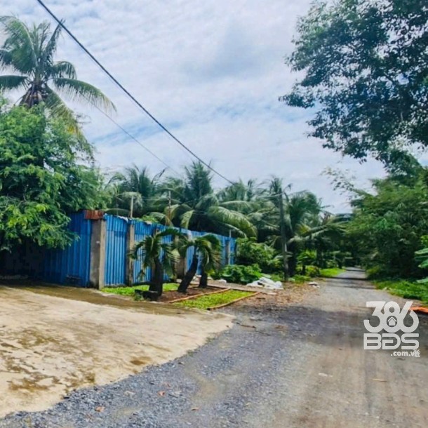 Nhà xưởng đường Thích Thiện Hòa, xã Lê Minh Xuân , Bình Chánh dt 745m2 giá 11,5 tỷ-2