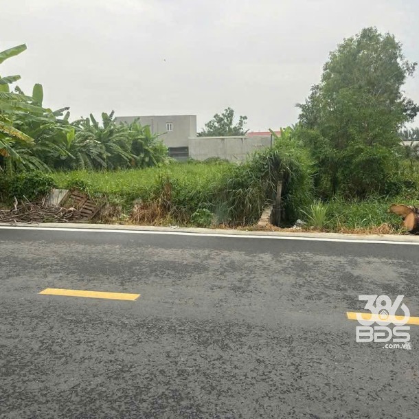 360m2 đất thổ cư mặt tiền đường Thích Thiện Hòa, xã Lê Minh Xuân, Bình Chánh giá 6,5 tỷ-3