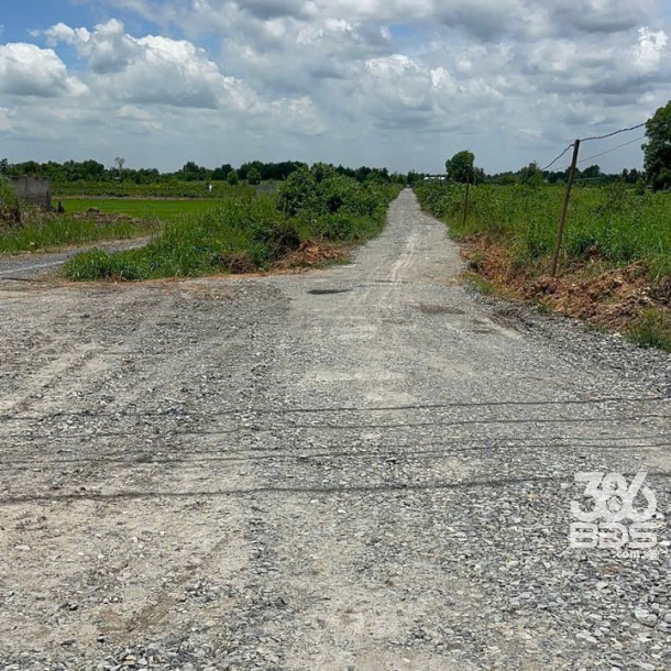 1500m2 đất vườn xã Lương Hòa, Bến Lức, Long An giá 2,4 tỷ-7