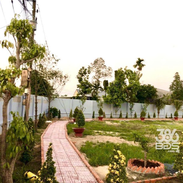 1000m2 đất mặt tiền đường nhựa / tỉnh lộ 7, xã An Nhơn Tây, Củ Chi giá 5,9 tỷ-2