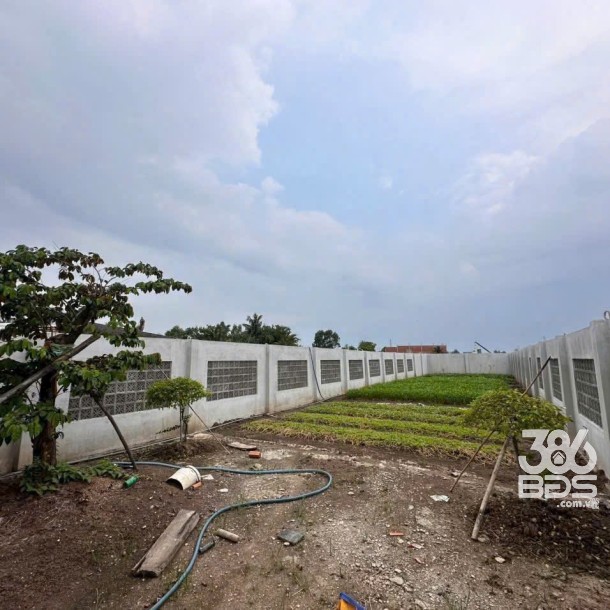 300m2 đất thổ cư mặ tiền Kênh Đại Hội, xã Thuận Thành, Cần Giuộc giá 1,9 tỷ-3