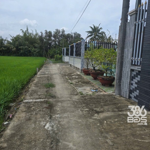 Nhà vườn xã Tân Trạch, Cần Đước tổng dt 330m2 1 lầu 3pn 3wc , sân thượng giá 3,9 tỷ-4