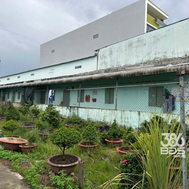 Dãy trọ 11 phòng // Trần Văn Giàu , xã Bình lợi, huyện Bình Chánh tổng dt 250m2 giá 4,5 tỷ-2