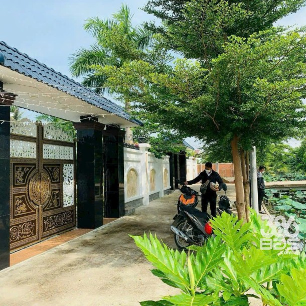Nhà vườn đẹp xã Long Trạch, Cần Đước, Long An tổng dt 1000m2 giá 10 tỷ-1