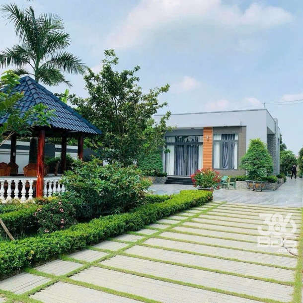 Nhà vườn đẹp xã Long Trạch, Cần Đước, Long An tổng dt 1000m2 giá 10 tỷ-2