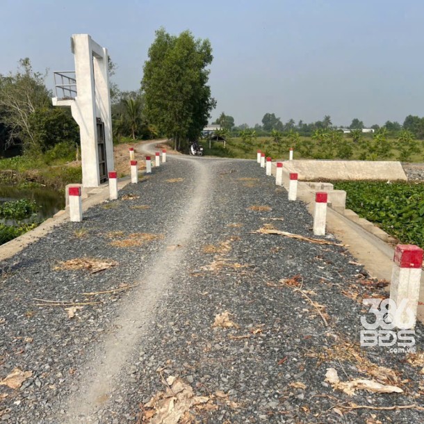 700m2 đất lúa ấp 10, xã Lương Hòa, Bến Lức, Long An giá 1,3 tỷ-1