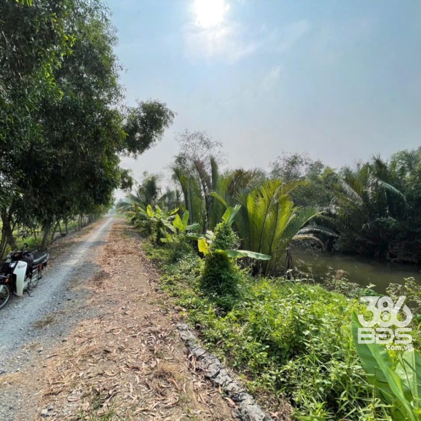 700m2 đất lúa ấp 10, xã Lương Hòa, Bến Lức, Long An giá 1,3 tỷ-3