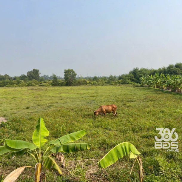 700m2 đất lúa ấp 10, xã Lương Hòa, Bến Lức, Long An giá 1,3 tỷ-4