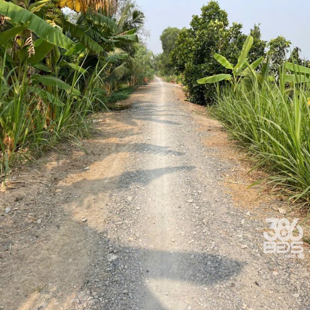 700m2 đất lúa ấp 10, xã Lương Hòa, Bến Lức, Long An giá 1,3 tỷ-6