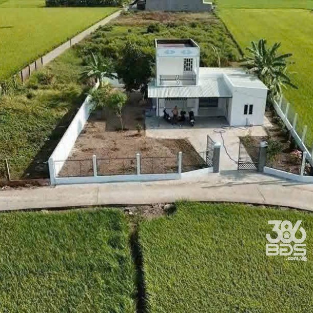 Nhà vườn hẻm Nguyễn Văn Thọ, xã Lạc Tấn, huyện Tân Trụ tổng dt 500m2 2pn 2wc giá 2 tỷ-1