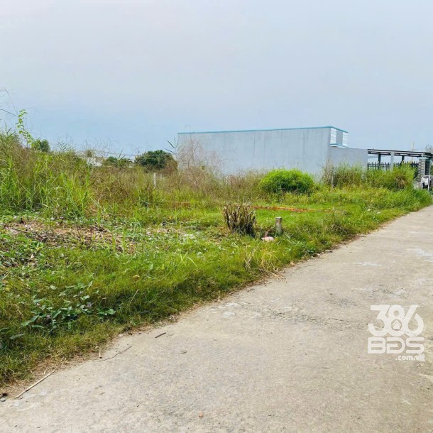 131m2 đất thổ cư đường Phạm Thị Cầm, xã Mỹ Lộc, Cần Giuộc ,Long An giá 1,15 tỷ-1