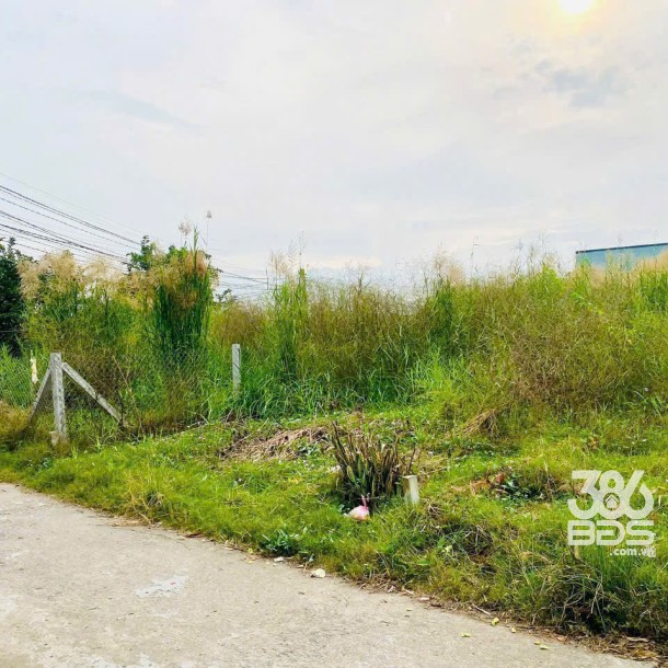 131m2 đất thổ cư đường Phạm Thị Cầm, xã Mỹ Lộc, Cần Giuộc ,Long An giá 1,15 tỷ-2