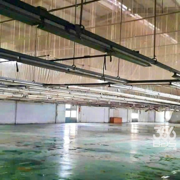 Cho thuê xưởng mặt tiền tỉnh lộ 15, xã Phú Hòa Đông , Củ Chi tổng dt 7800m2 giá 200 triệu / tháng-2