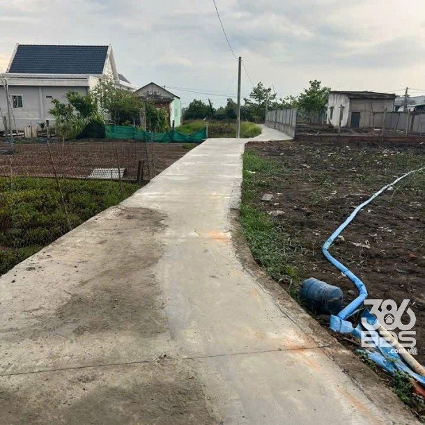 Nhà vườn xã Mỹ Lộc, Cần Giuộc , Long An tổng dt 533m2 2pn 2wc giá 3,5 tỷ-4