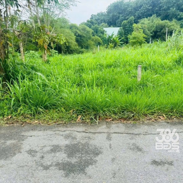 100m2 thổ cư mặt tiền đường nhựa xã Phú Hòa Đông, Củ Chi giá 1,2 tỷ-3