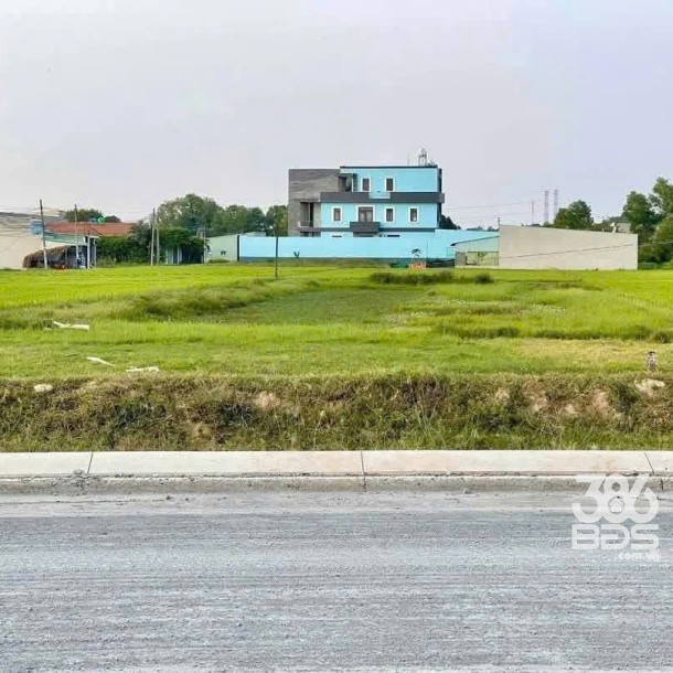 1562m2 đất (300m2 thổ) xã Đức Hòa Đông, Đức Hòa , Long AN giá 7,8 tỷ-1