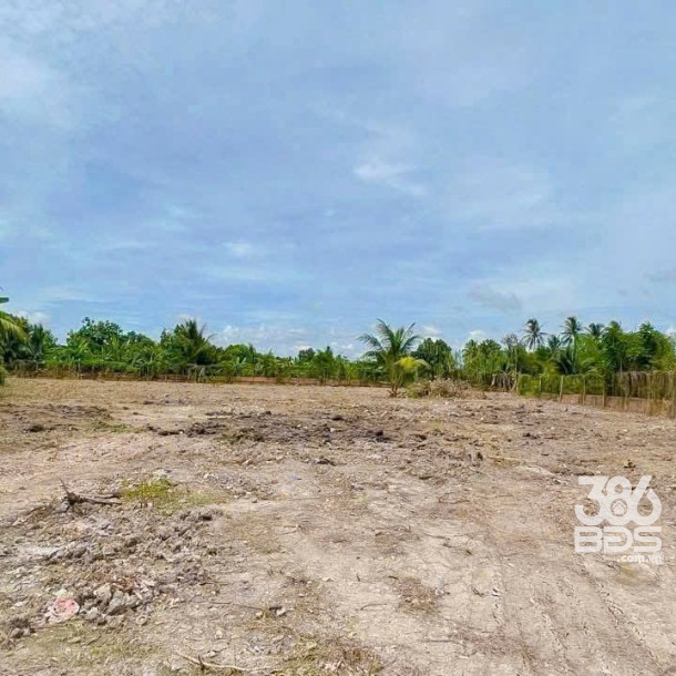 3400m2 đất vườn có sẵn 1800m2 thổ xã Nhựt Chánh, Bến Lức, Long An giá 4,85 tỷ-5