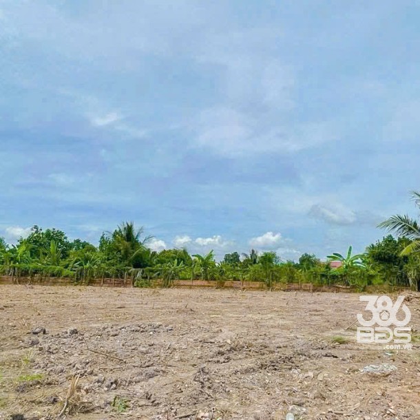3400m2 đất vườn có sẵn 1800m2 thổ xã Nhựt Chánh, Bến Lức, Long An giá 4,85 tỷ-6