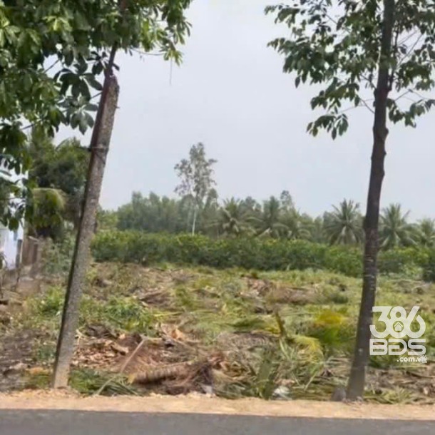 258m2 thổ cư mặt tiền đường ấp xã Lương Hòa, Bến Lức, Long An giá 2,5 tỷ / nền-4