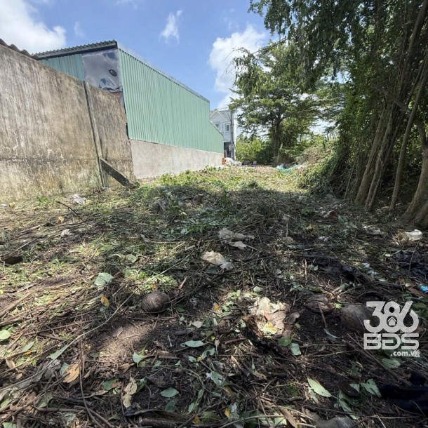 90m2 thổ cư xã Phước Lâm , Cần Giuộc giá 950tr-3