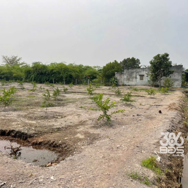 207m2 thổ cư hẻm ấp 10 , xã Lương Hòa, Bến Lức , Long An giá 850 triệu-6