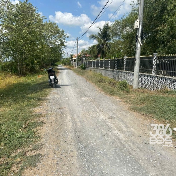 3000m2 đất ( có 300m2 thổ) đường Trương Văn Đa, xã Bình Lợi, Bình Chánh giá 11 tỷ-2