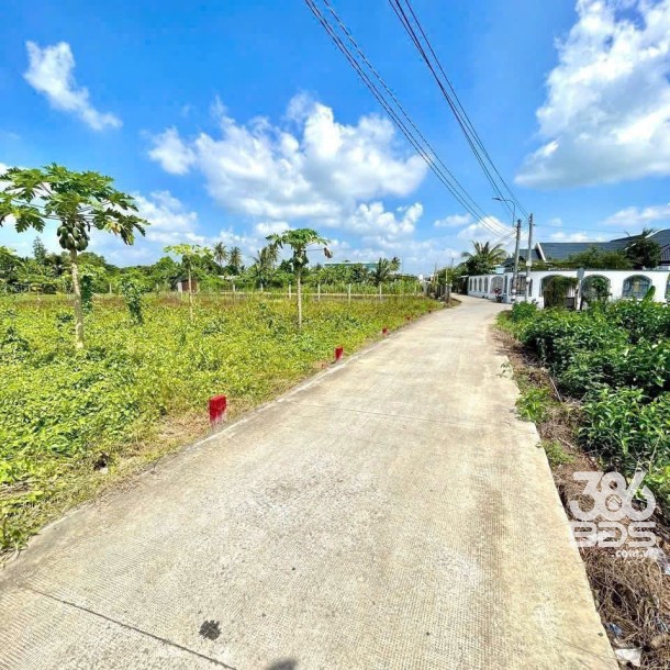 4 lô đất thổ cư xã Mỹ Lộc, Cần Giuộc dt 118m2 giá 1,15 tỷ / lô-1